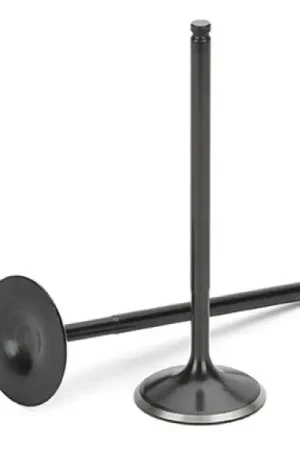 Supertech Honda D16A6/D15B Black Nitrided Intake Valve - Set of 8 Affordable