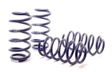 Affordable H&R 01-05 Volkswagen Passat 4Motion Sedan/Wagon Sport Spring (Non W8) - 29795-1