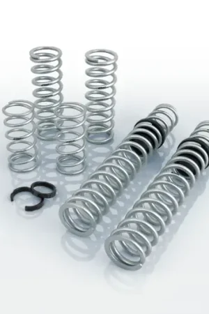 Eibach Pro-UTV 20-22 Polaris RZR Pro XP4 Base/Sport/Premium (Walker Evans) Stg 2 Performance Springs Super Sale